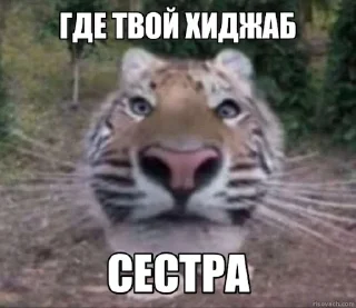 Sticker Jerry The Tiger @jerryx5 - 2