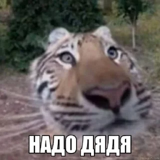 Sticker Jerry The Tiger @jerryx5 - 8