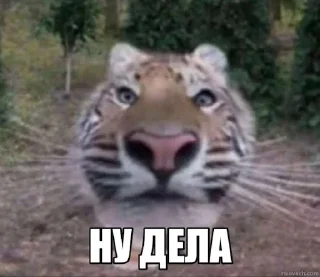 Sticker Jerry The Tiger @jerryx5 - 3