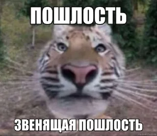 Sticker Jerry The Tiger @jerryx5 - 5