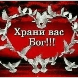 Стикер пупковый катышек - 9