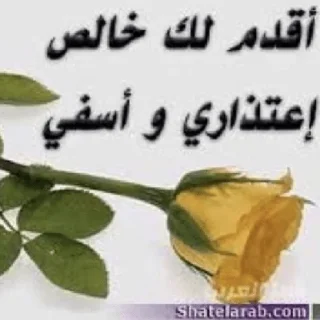 Стикер пупковый катышек - 6