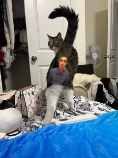 Sticker хэсус - 4