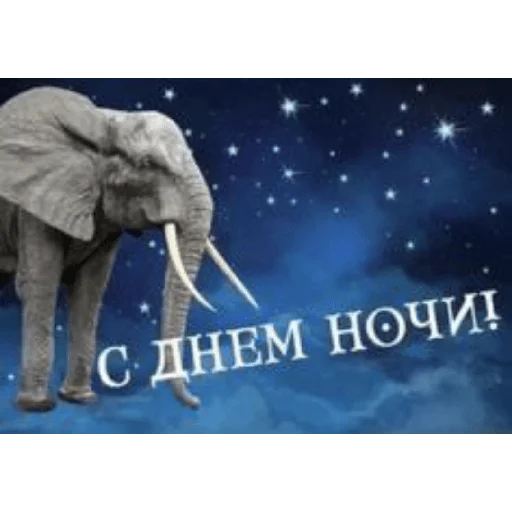 Sticker Мемы - 11