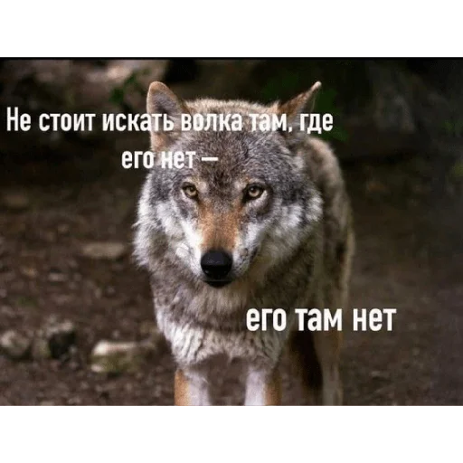 Sticker Мемы - 4