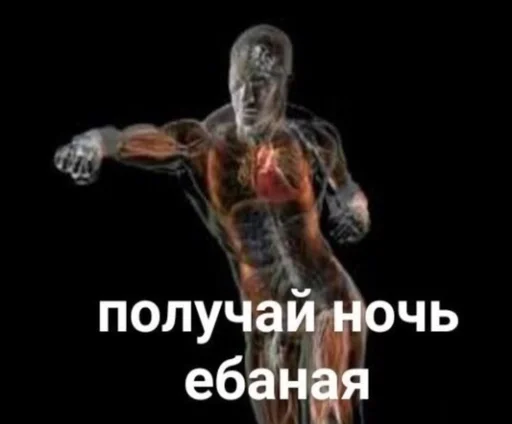 text sport bodybuilding