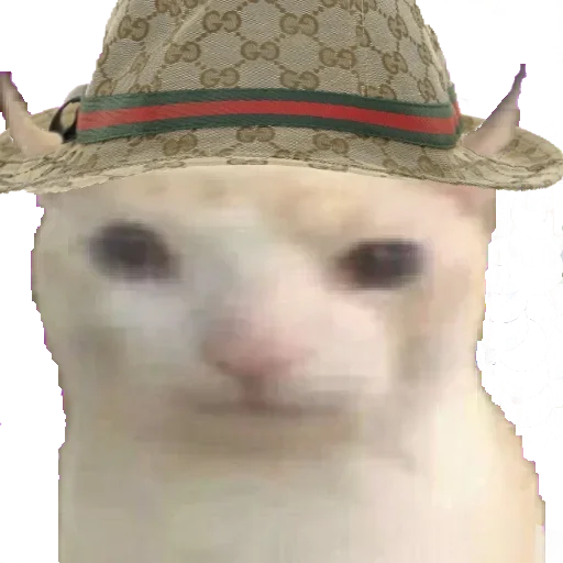 Sticker JhwjpVboGv_by_stickers_stealer_bot - 1