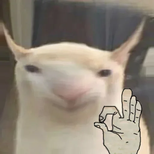 Стикер JhwjpVboGv_by_stickers_stealer_bot - 1