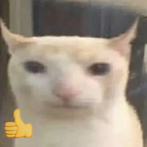 Sticker JhwjpVboGv_by_stickers_stealer_bot - 1