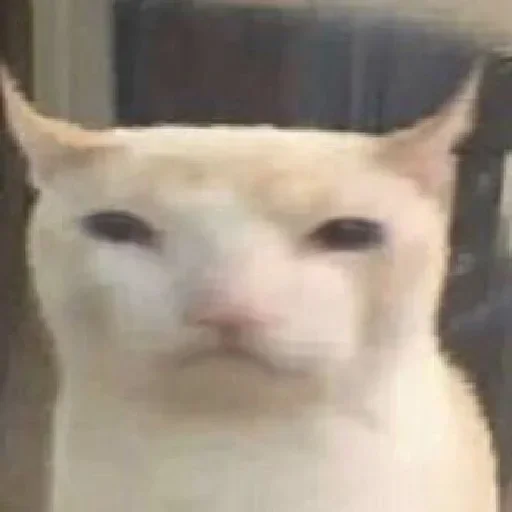 Sticker JhwjpVboGv_by_stickers_stealer_bot - 1