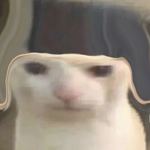 Sticker JhwjpVboGv_by_stickers_stealer_bot - 1