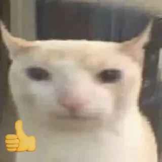 Стикер Больше стикеров: @sticerru - 3