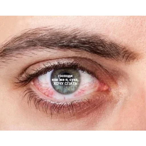 Sticker JiaXbWD_by_achestickbot - 1