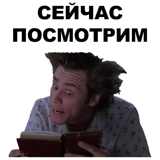 человеческое лицо СМС одежда