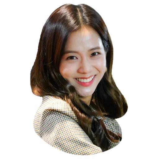 Jisoo @Stickersey - 