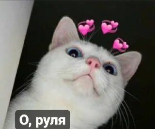 Sticker Jizhni malina from @tthelastqueen - 11