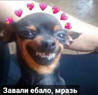 Sticker Jizhni malina from @tthelastqueen - 7