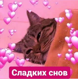 Sticker Jizhni malina from @tthelastqueen - 0