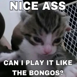 Стикер jaj - 9