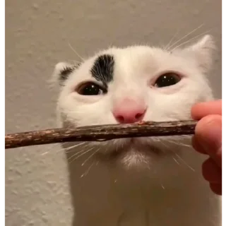 Стикер jaj - 10