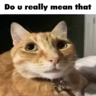 Стикер jaj - 8