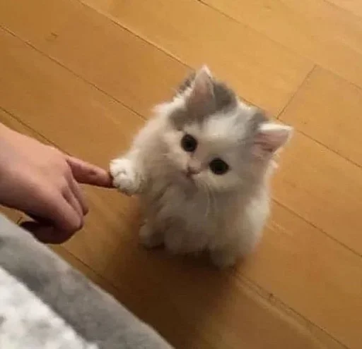 Sticker Жучок :: @fStikBot - 0