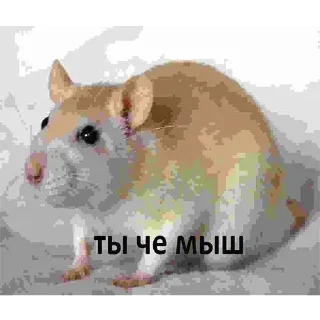 Sticker Больше стикеров: @sticerru - 6