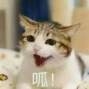 Стикер JoJun Pack Rectangle @JoJunIori - 3