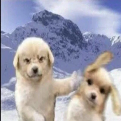 Стикер Jobachki - 1