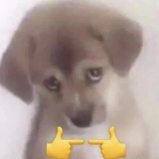 Sticker Jobachki - 1