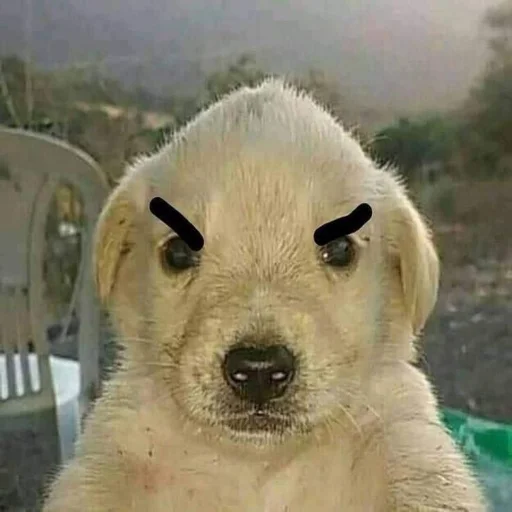 Стикер Jobachki - 1