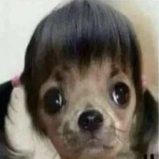 Sticker Джобачки - 7