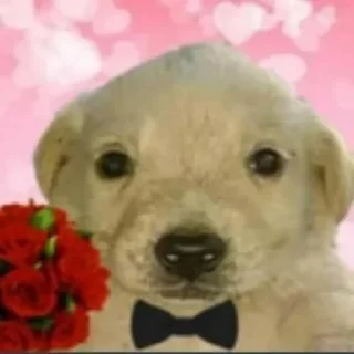 Sticker Джобачки - 3