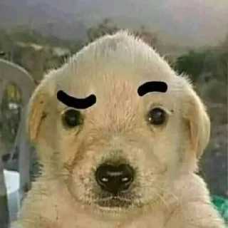 Sticker Джобачки - 8