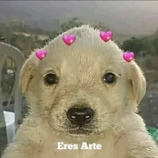 Sticker Джобачки - 1