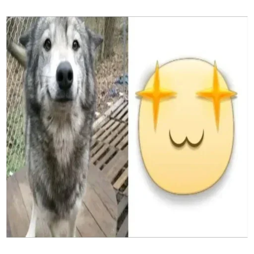 Больше стиков тут: @stikery4 - 