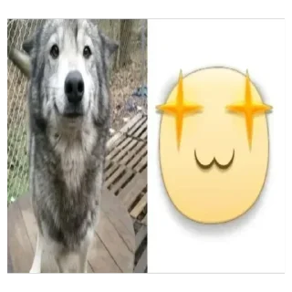 Sticker Больше стиков тут: @stikery4 - 5