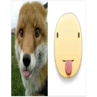 Sticker Больше стиков тут: @stikery4 - 6