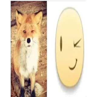 Sticker Больше стиков тут: @stikery4 - 3