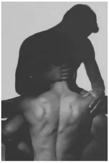 Стикер JoeyPhoenix - 7