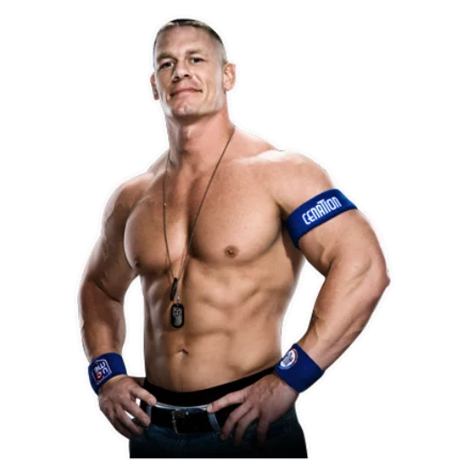 John Cena stickers - 