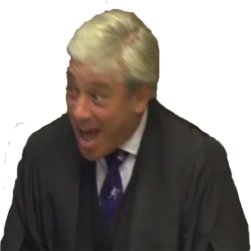 Sticker John Bercow - 11