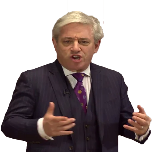 Sticker John Bercow - 10