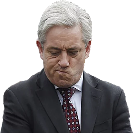 Sticker John Bercow - 5