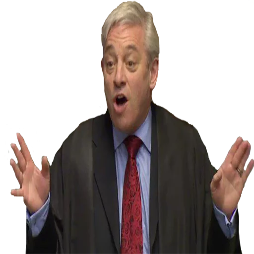 Sticker John Bercow - 4