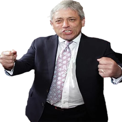 Sticker John Bercow - 2