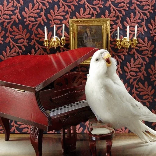 Sticker кекпак - 11