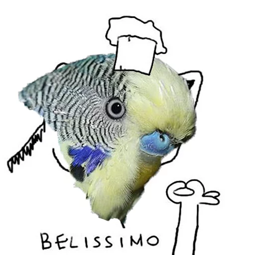 Sticker кекпак - 1