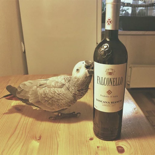 Sticker кекпак - 0