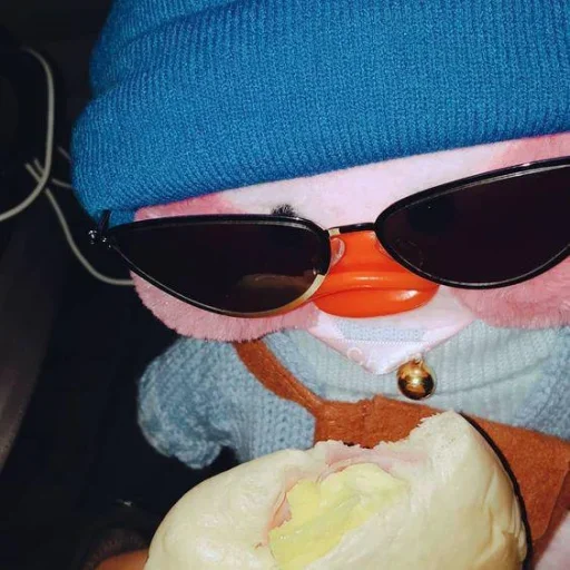 sunglasses goggles accessory